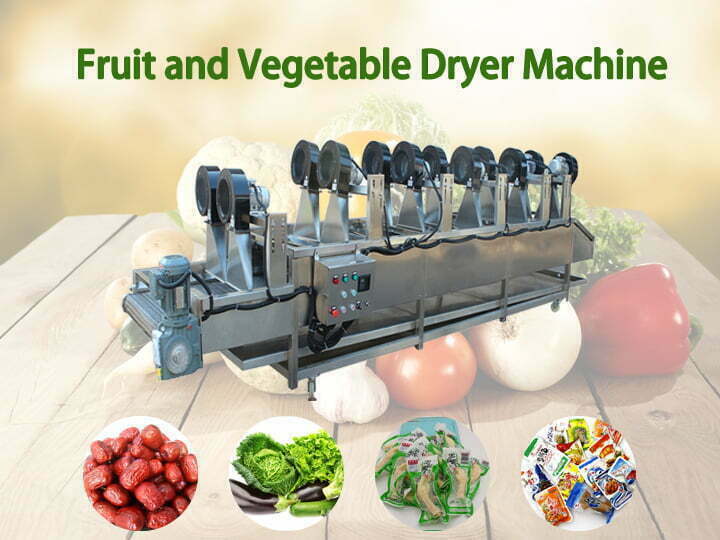 Máquina de secar frutas e vegetais