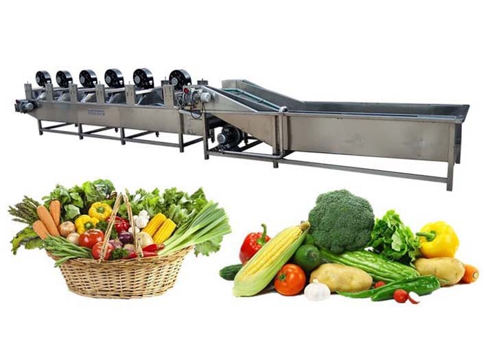 vegetable and fruit dryer machine