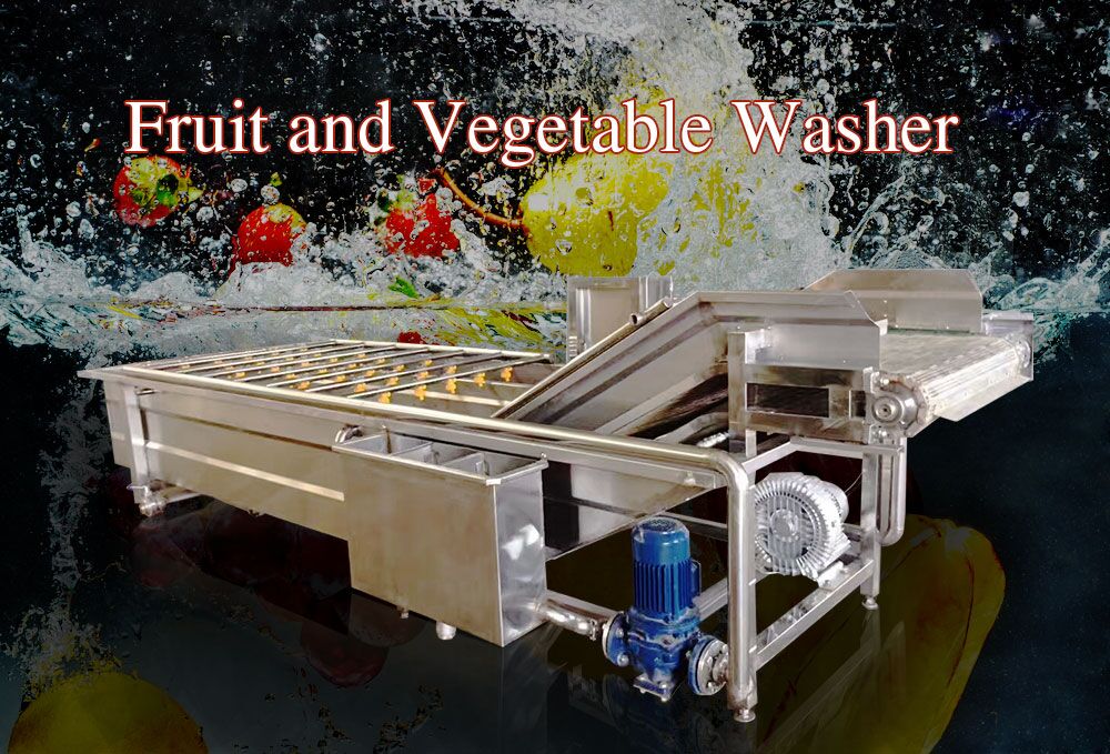 Sebze yıkayıcı makinesi