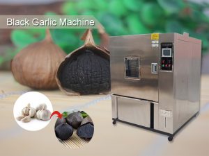 Black garlic maker