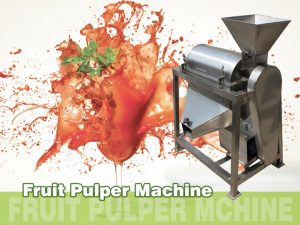 fruit pulper machine