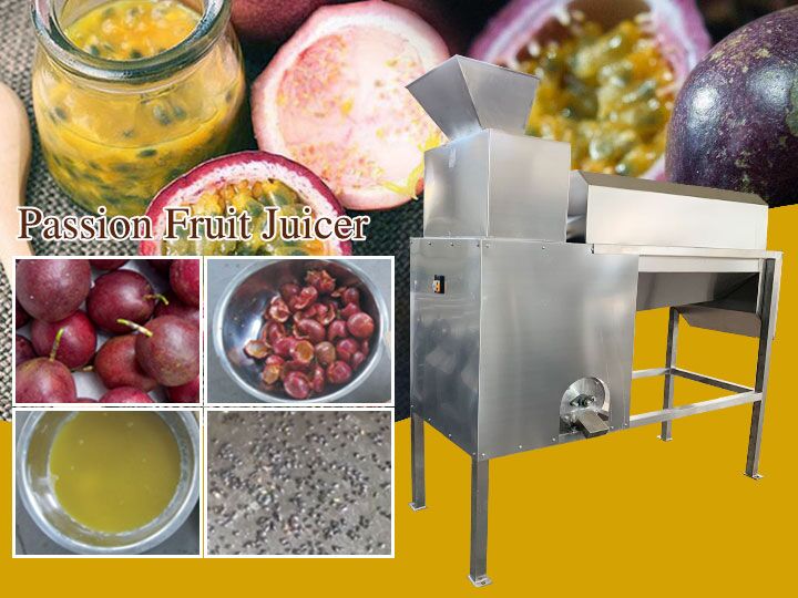 Passion Fruit Juicer | Passion Fruit Juice Extractor