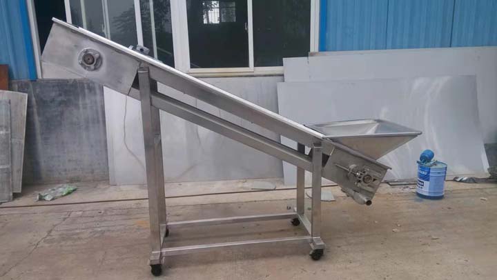 supporting conveyor for grape destemming