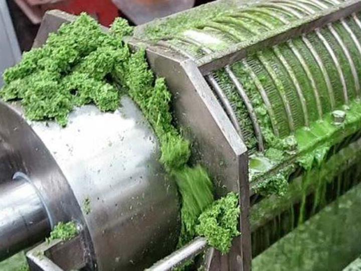 Vegetable juicer machine