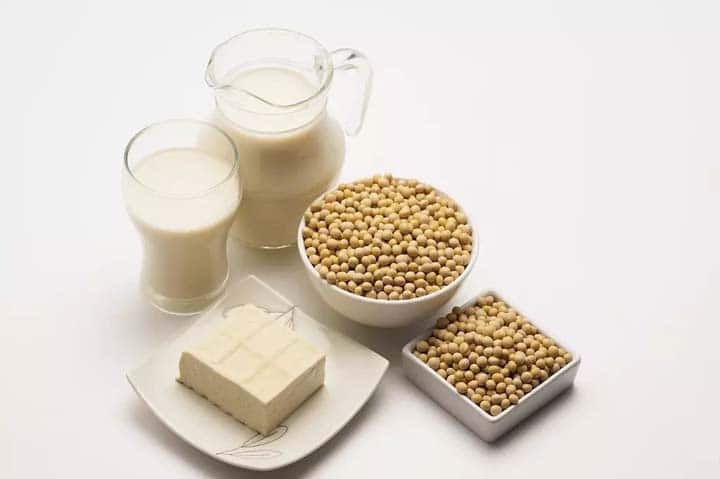 soymilk and tofu making