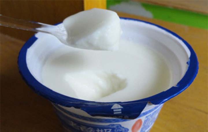 plain yogurt made by Taizy yogurt machines