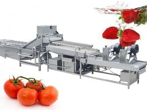 Tomato & strawberry washing and drying line