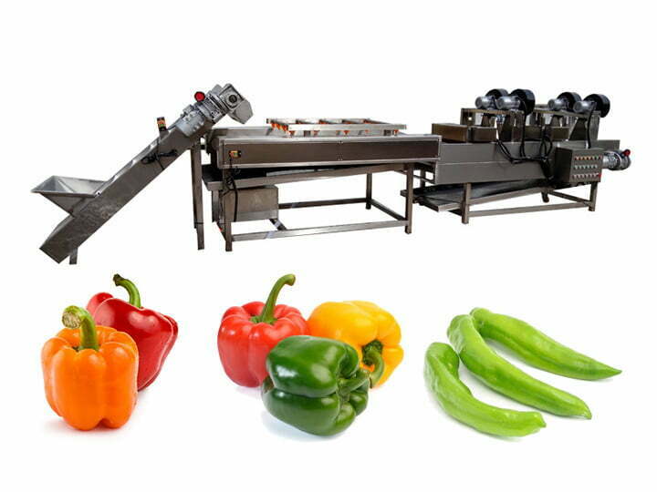 bell pepper washing line for sale