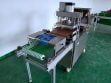 commercial corn tortilla machine for shipping to Mexico