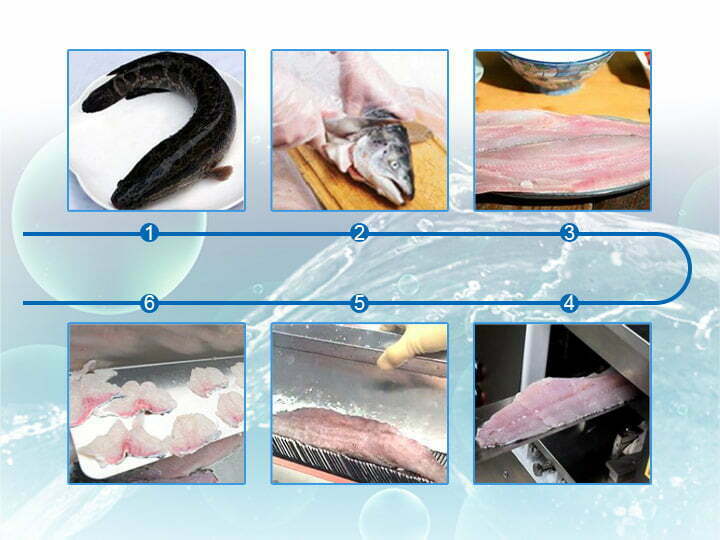 fish fillet processing