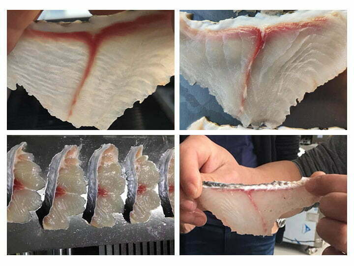 effetto affettamento del filetto di pesce