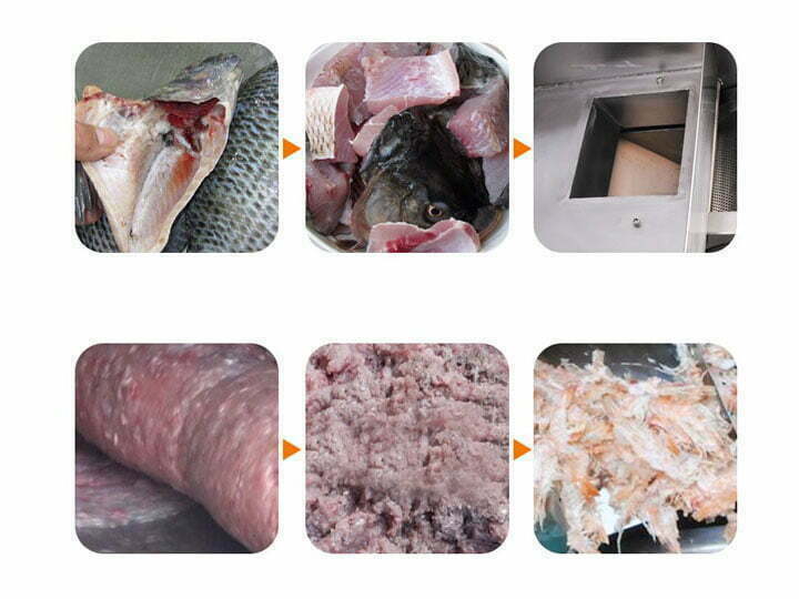 Processo di separazione di carne e ossa di pesce