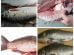 Fish splitting and gutting