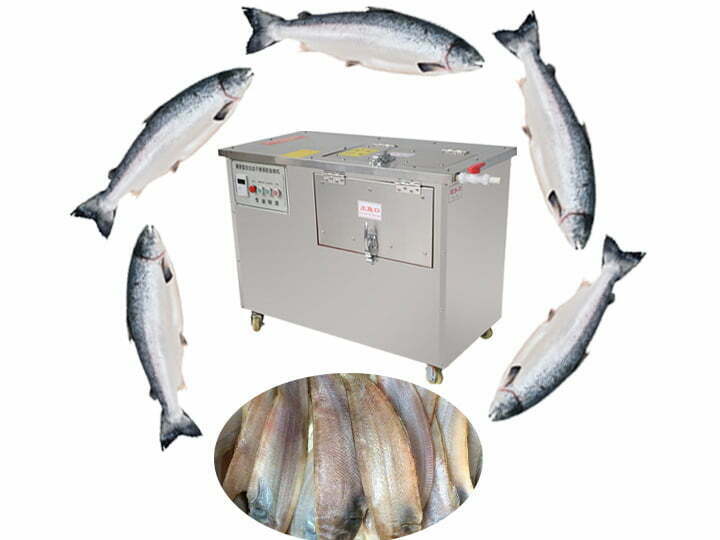 Industrial fish scaling machine for sale