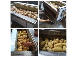 working details of sweet potato peeler
