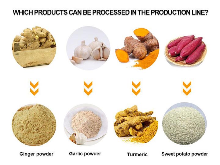 Aplicación de la línea de producción de jengibre en polvo.