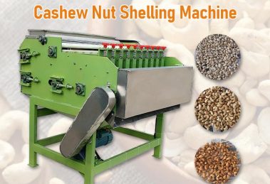 Automatic cashew nut peeling machine