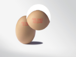 Egg Printer | Egg Coding Machine for Printing Eggs