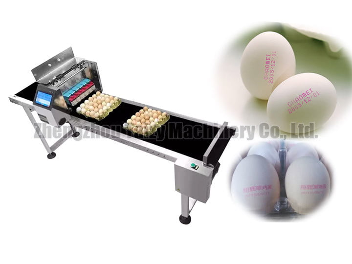 egg coding machine