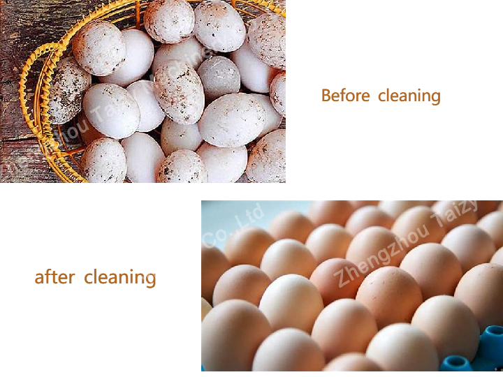 The benefits of cleaning eggs