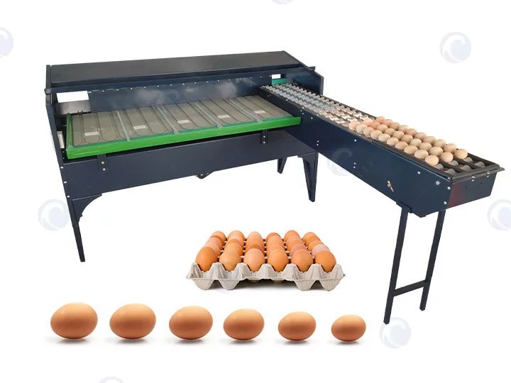 egg grader