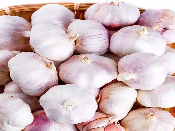 garlic for peeling