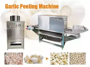 garlic peeling machine