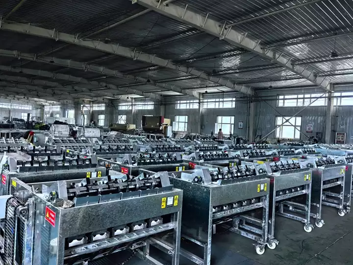 commercial walnut peeling machines in stock
