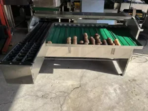egg grading machine for Chile