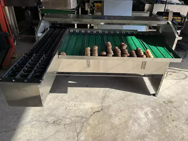 egg grading machine for Chile