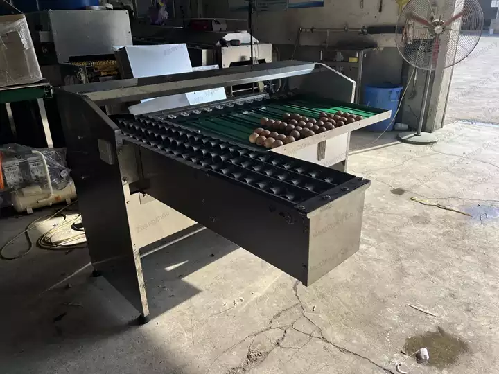 máquina de classificação de ovos