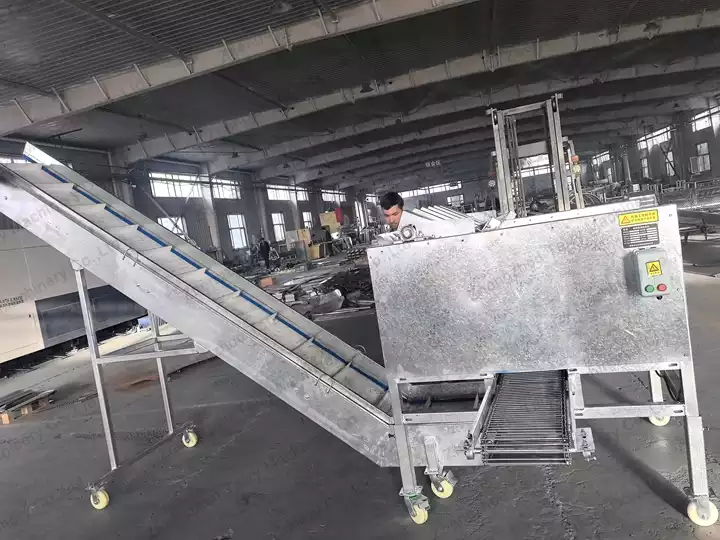 green walnut peeler with a conveyor
