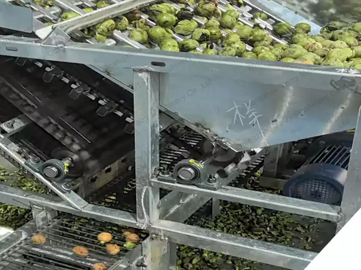 green walnut skin removing