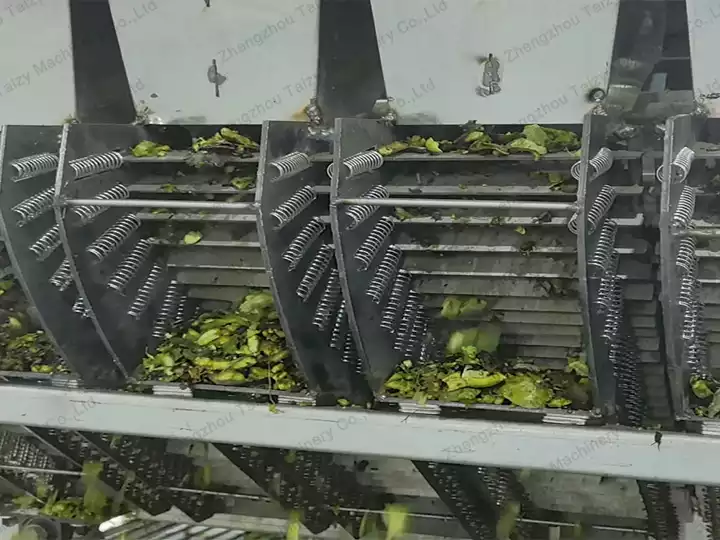 walnut and peels separation
