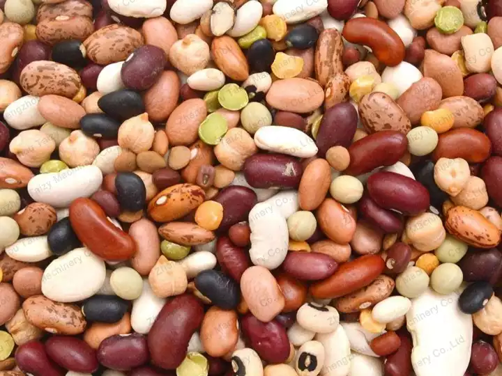 beans cleaning