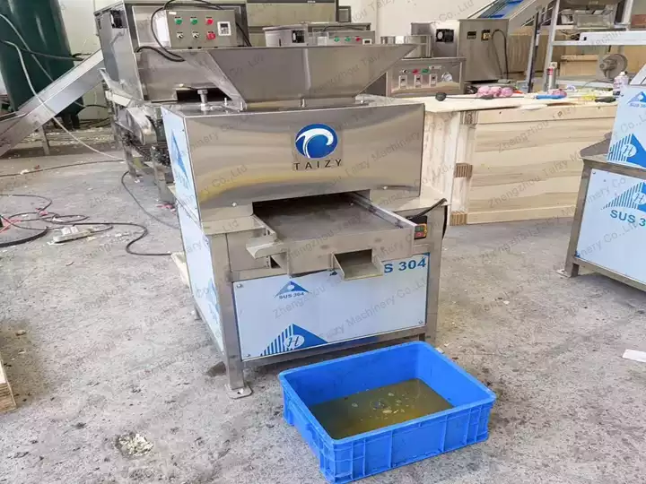 Taizy's fruit juicer machine